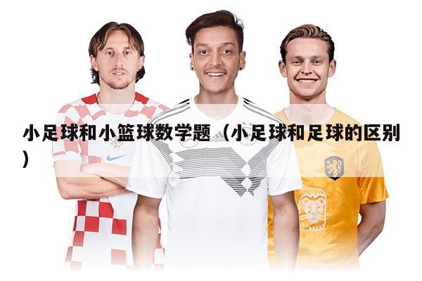 小足球和小篮球数学题（小足球和足球的区别）