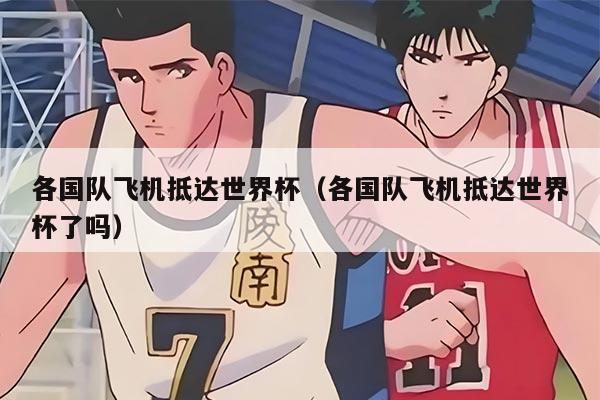 各国队飞机抵达世界杯（各国队飞机抵达世界杯了吗）