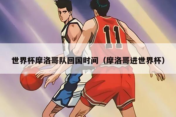 世界杯摩洛哥队回国时间(摩洛哥进世界杯)